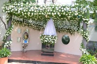 Dasari Birthday Celebrations 2012